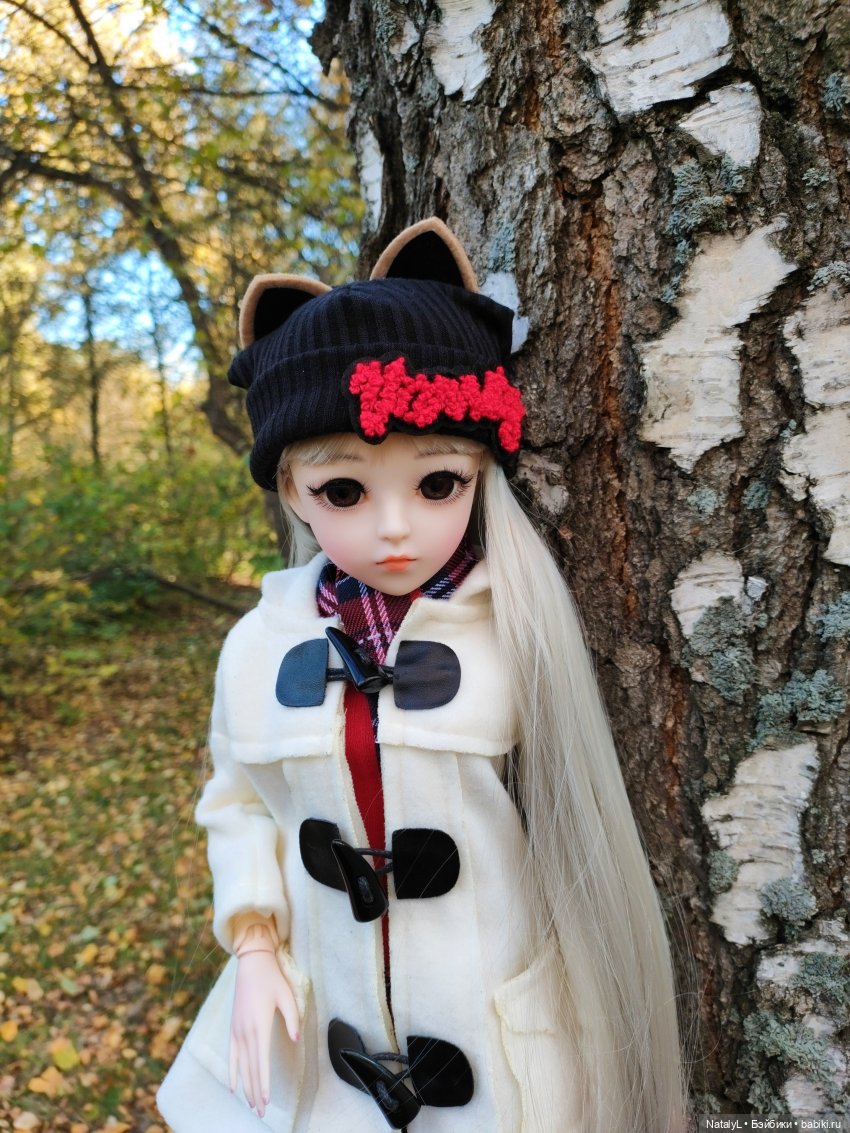 Золотая осень — Разные шарнирные куклы (не БЖД): редкие