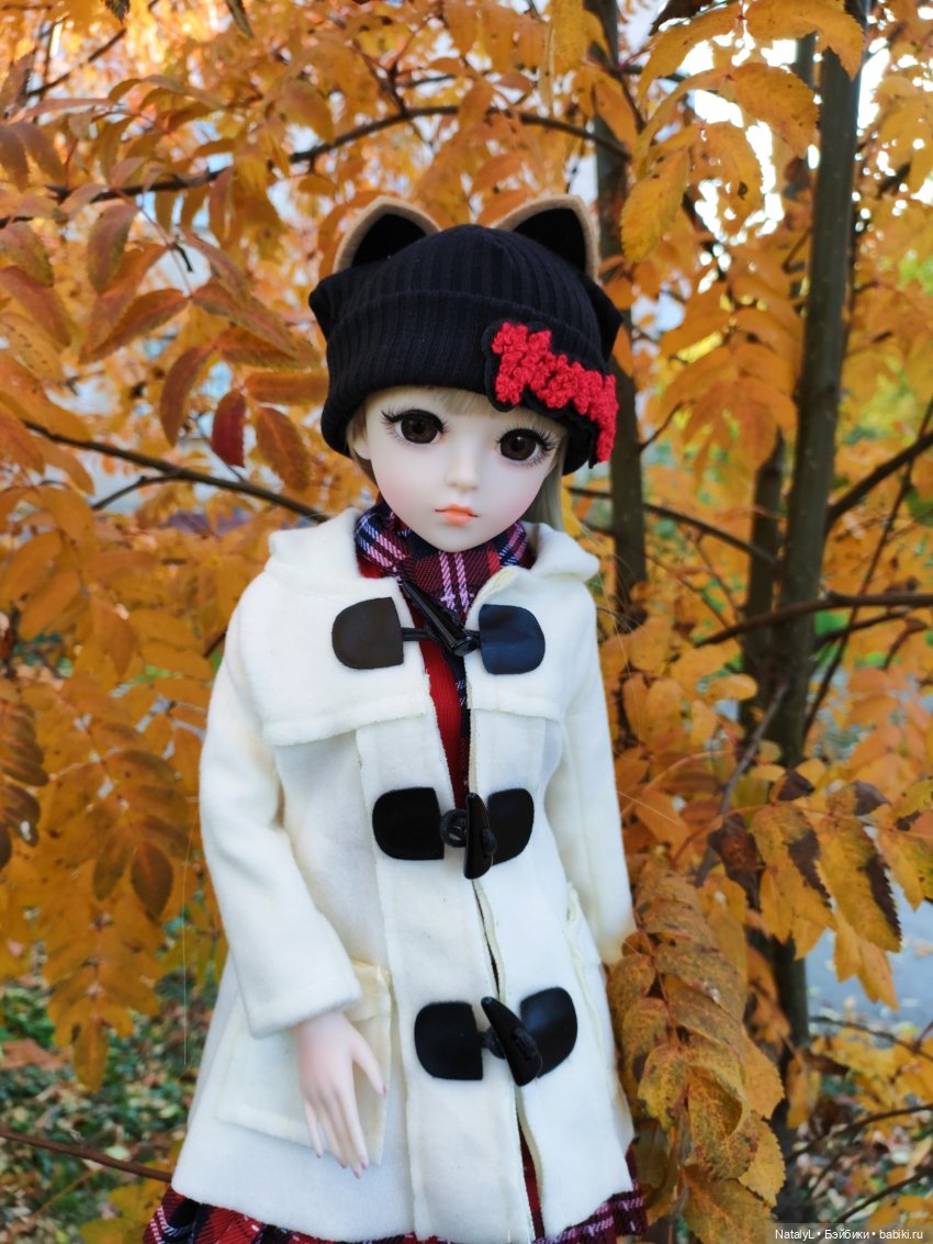 Золотая осень — Разные шарнирные куклы (не БЖД): редкие
