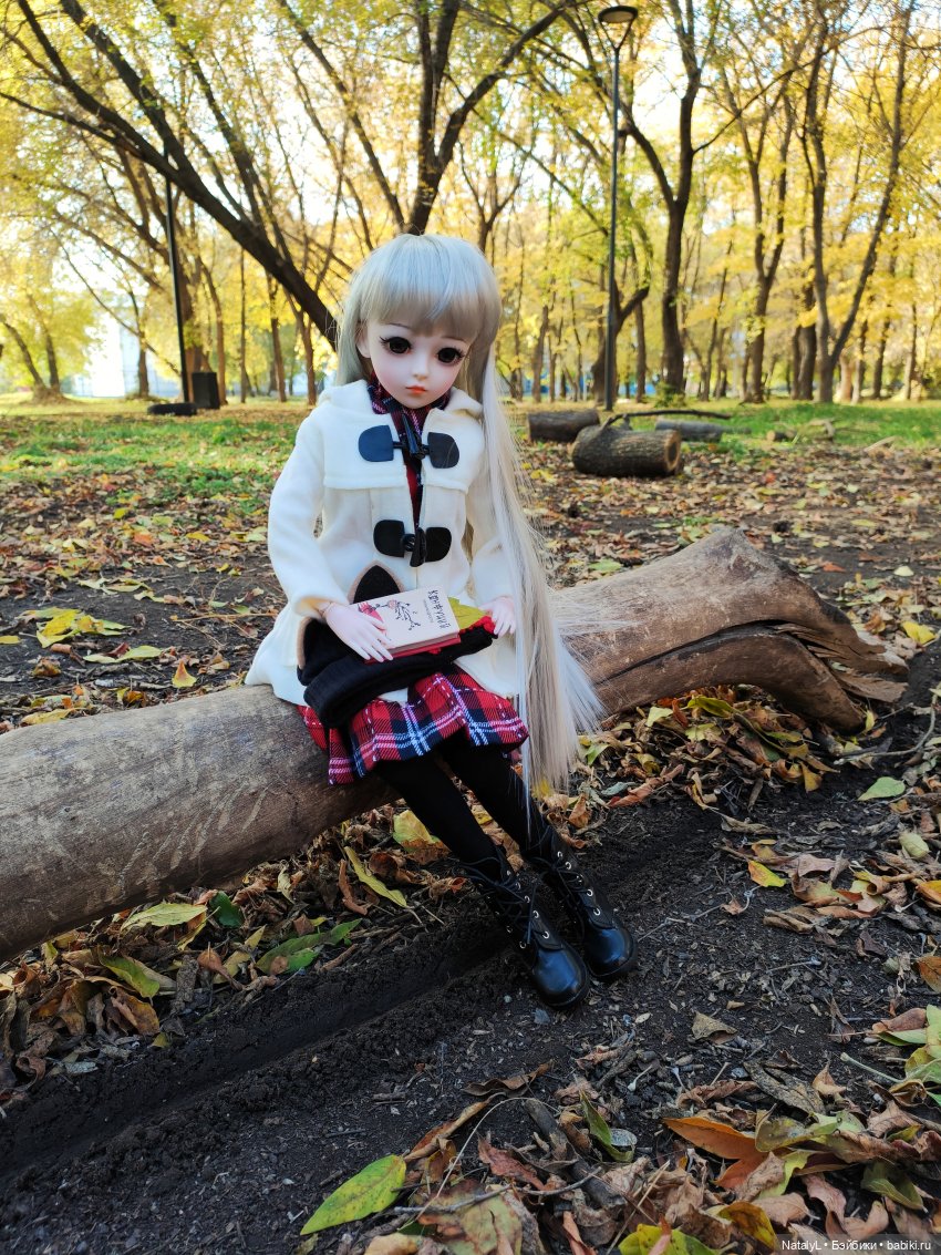 Золотая осень — Разные шарнирные куклы (не БЖД): редкие (фото 8)