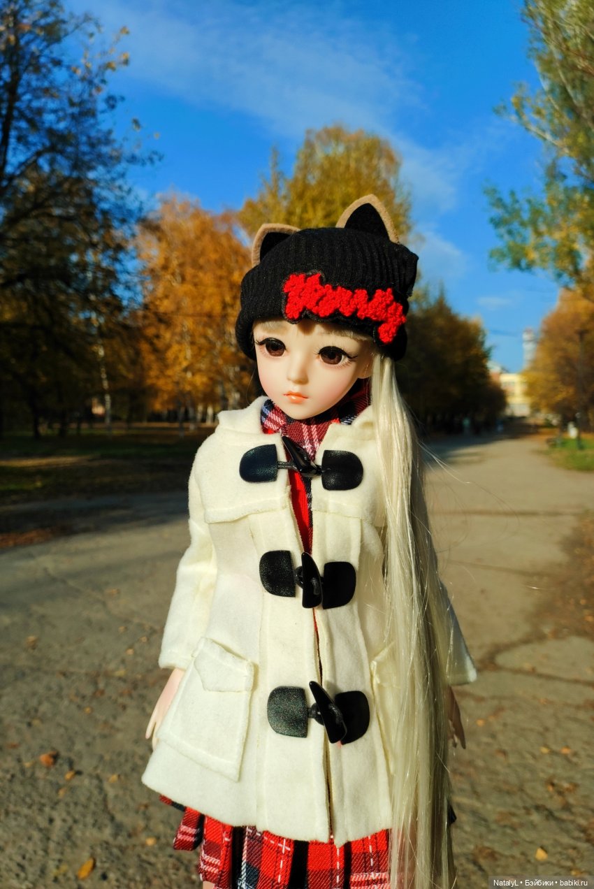 Золотая осень — Разные шарнирные куклы (не БЖД): редкие