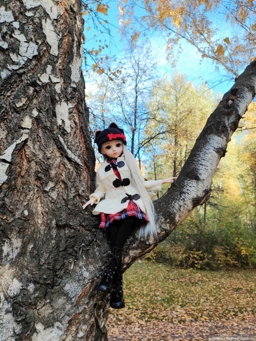 Золотая осень — Разные шарнирные куклы (не БЖД): редкие
