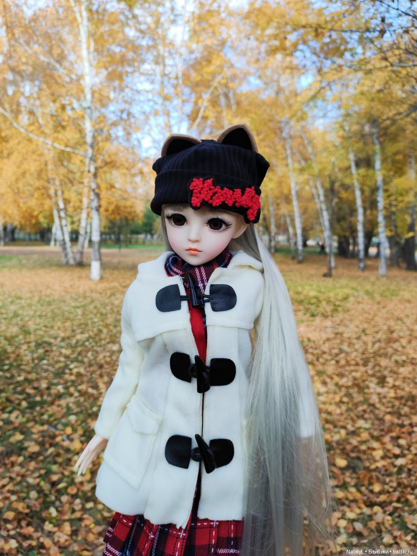 Золотая осень — Разные шарнирные куклы (не БЖД): редкие