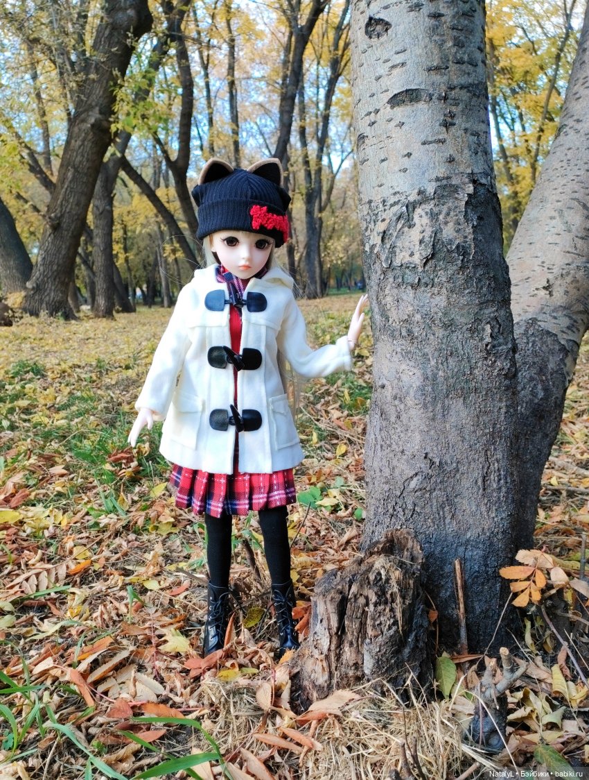 Золотая осень — Разные шарнирные куклы (не БЖД): редкие