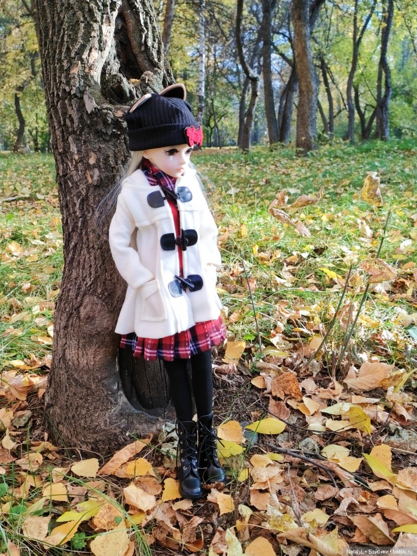 Золотая осень — Разные шарнирные куклы (не БЖД): редкие