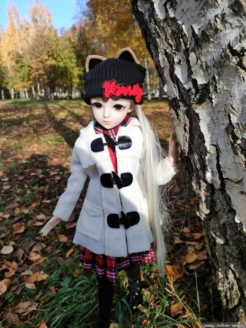 Золотая осень — Разные шарнирные куклы (не БЖД): редкие