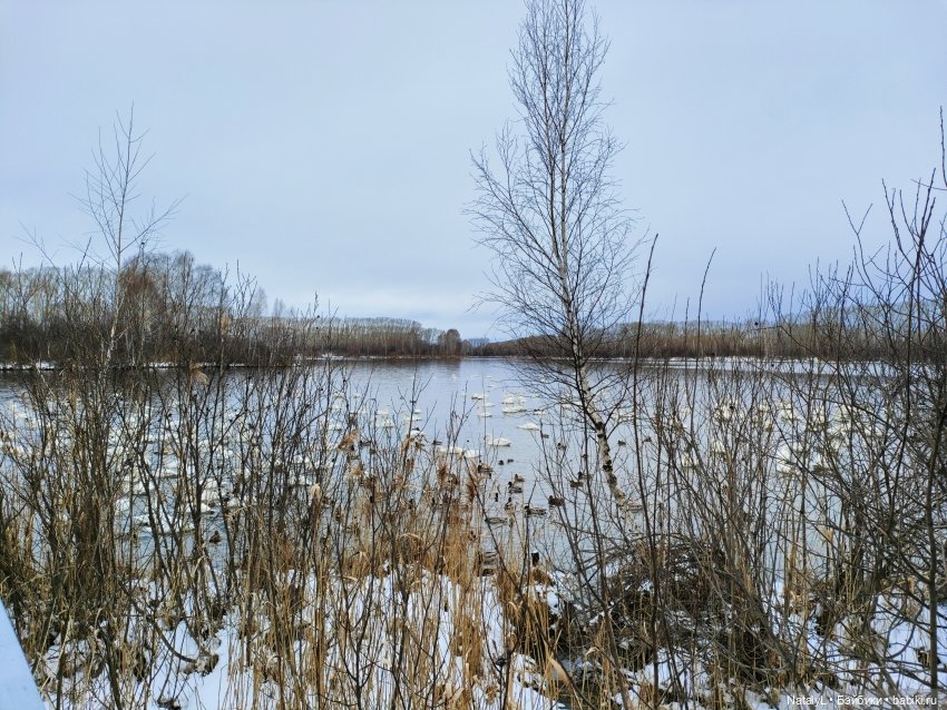 Зимние выходные — Куклы Rainbow High (Рейнбоу Хай