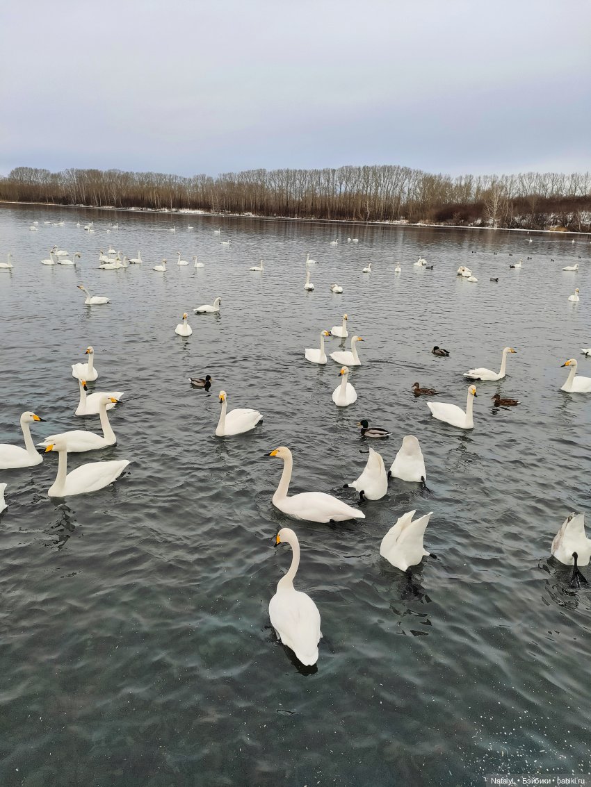 Зимние выходные — Куклы Rainbow High (Рейнбоу Хай