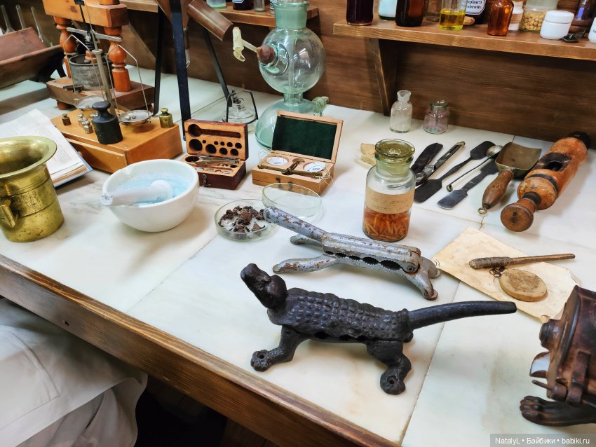 Джейд и музей "Горная аптека" в Барнауле (фото 8)