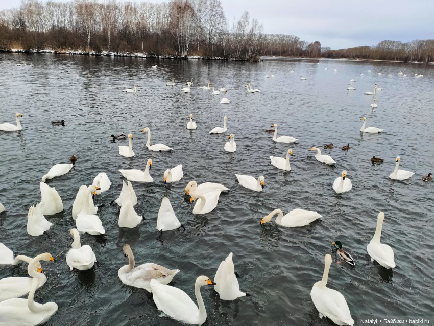 Зимние выходные — Куклы Rainbow High (Рейнбоу Хай