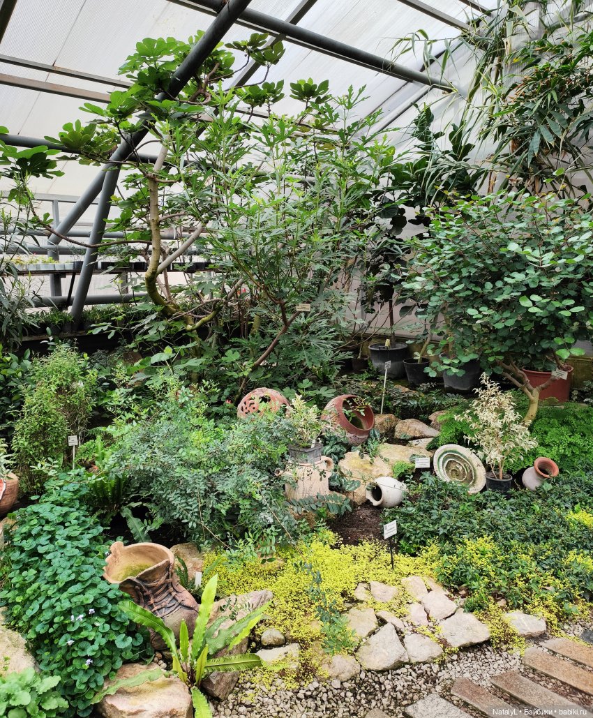 Милана в ботаническом саду