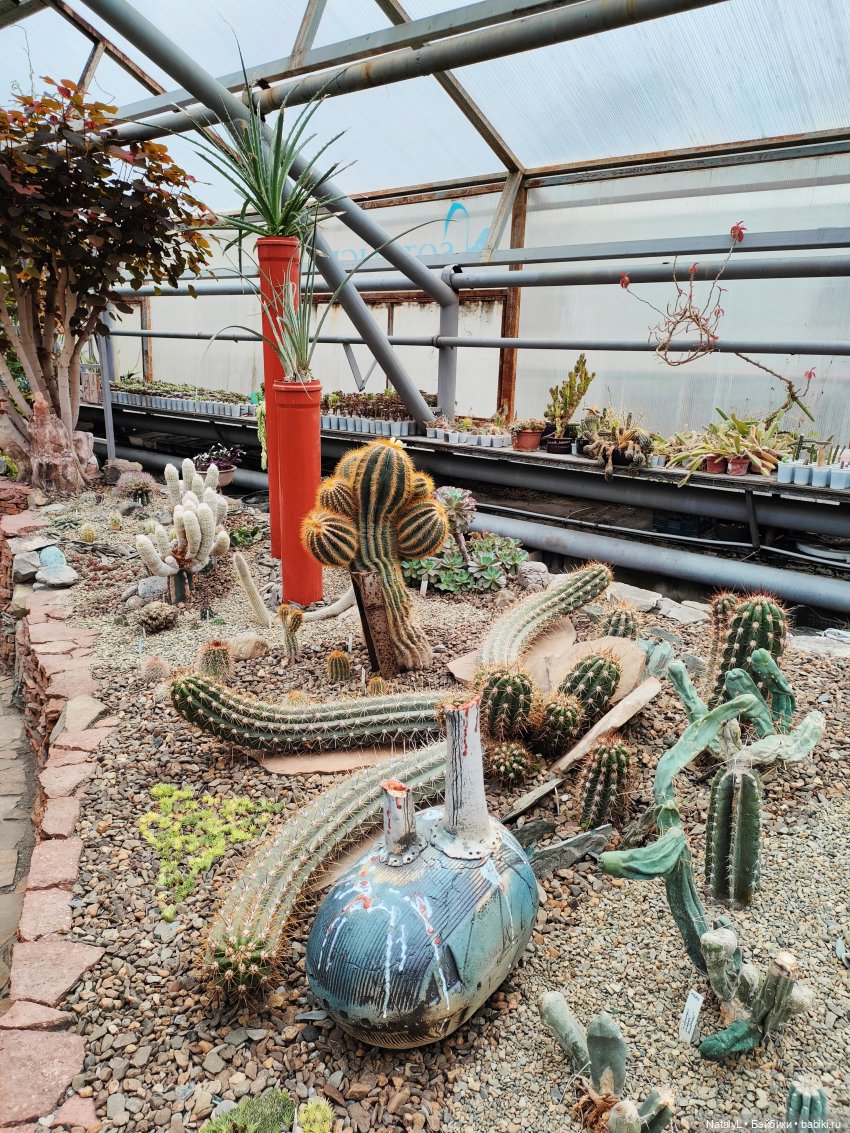 Милана в ботаническом саду