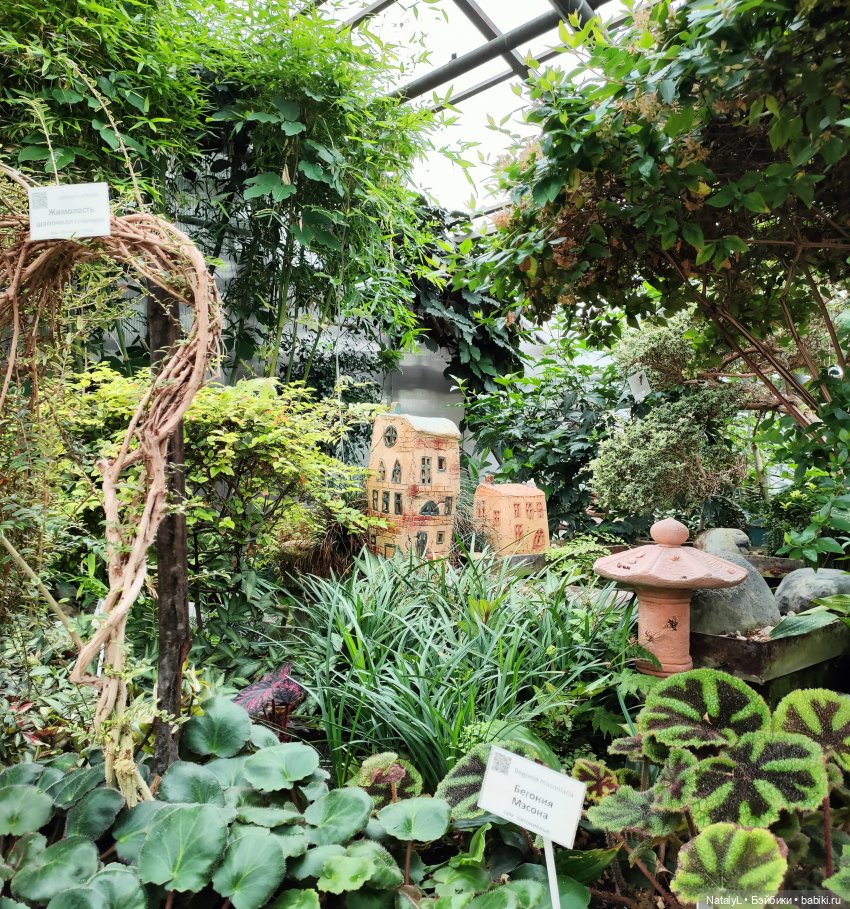 Милана в ботаническом саду