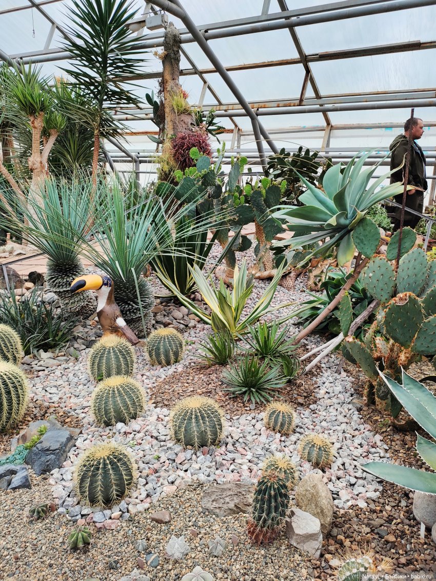 Милана в ботаническом саду