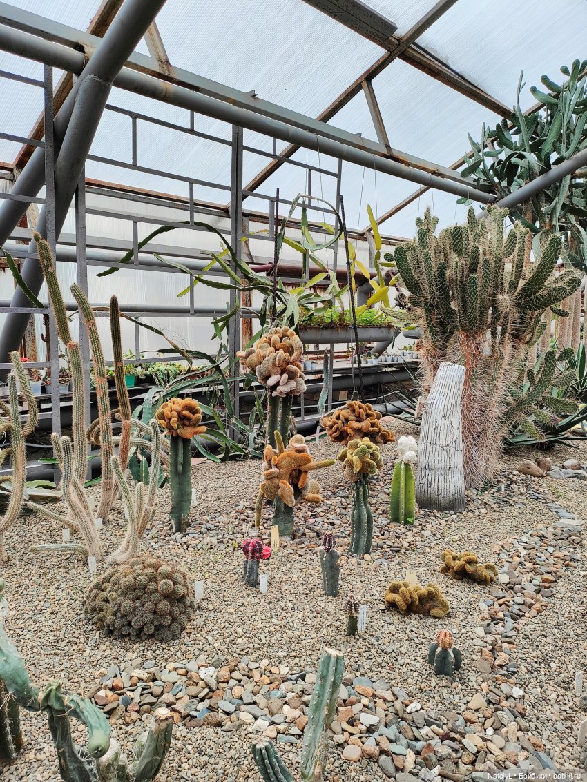 Милана в ботаническом саду