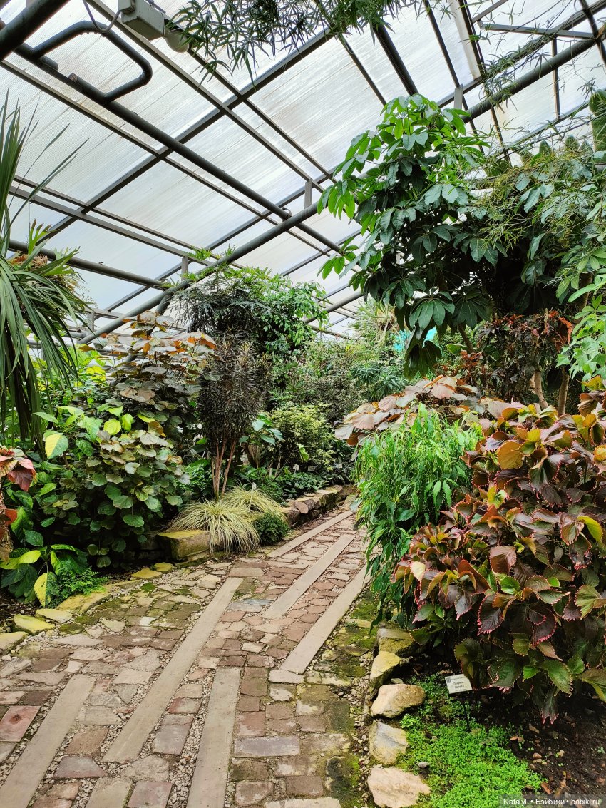 Милана в ботаническом саду (фото 4)