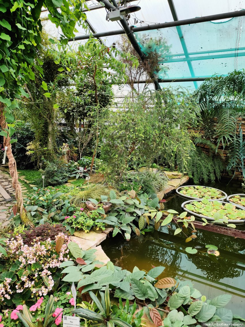 Милана в ботаническом саду (фото 5)