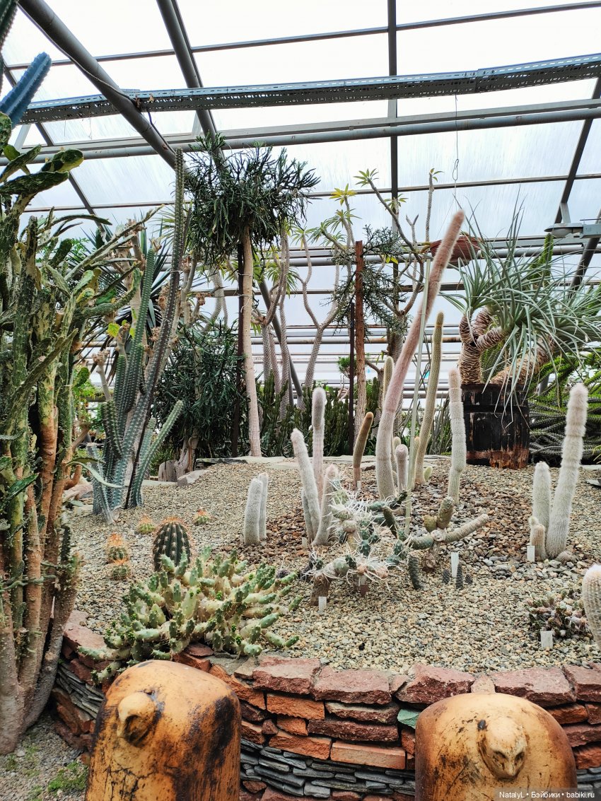 Милана в ботаническом саду