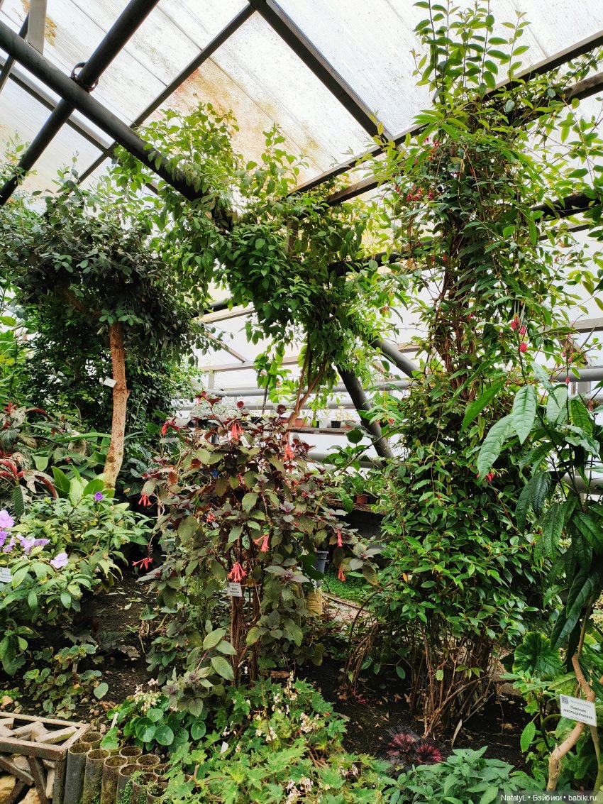 Милана в ботаническом саду (фото 10)