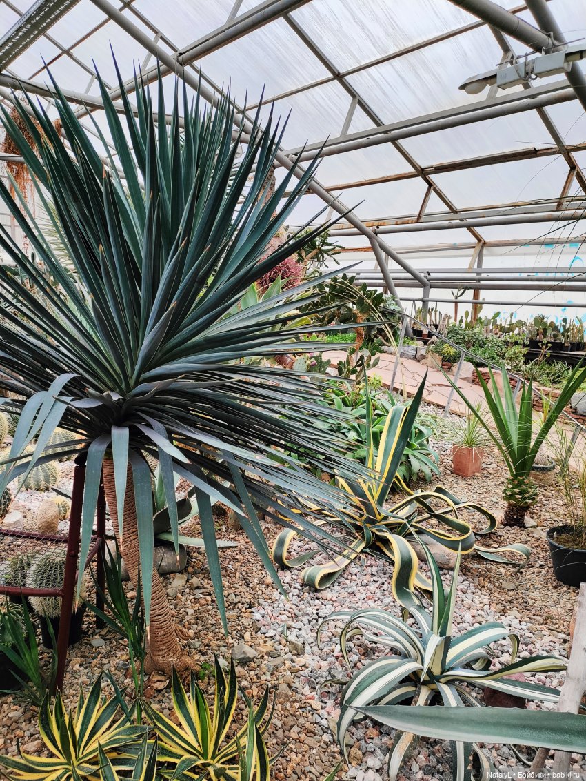 Милана в ботаническом саду