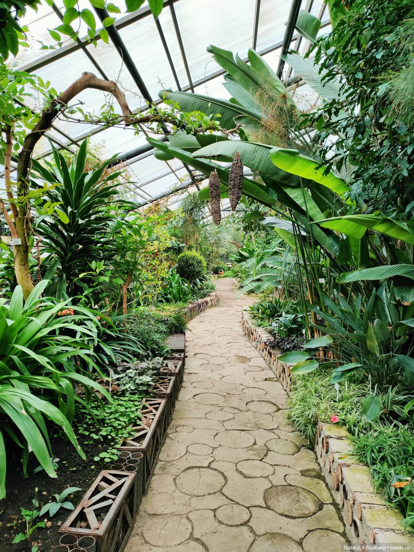 Милана в ботаническом саду (фото 8)