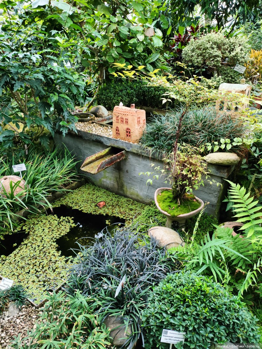 Милана в ботаническом саду