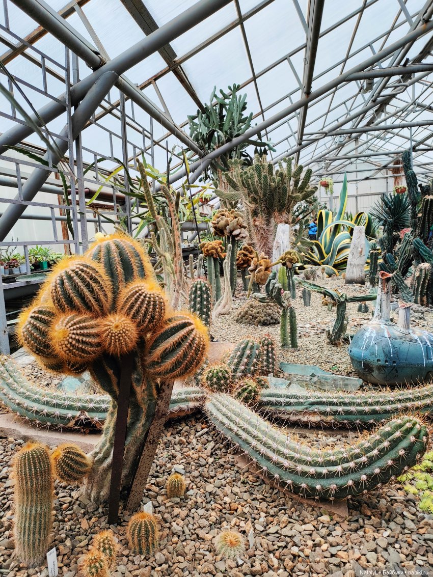 Милана в ботаническом саду