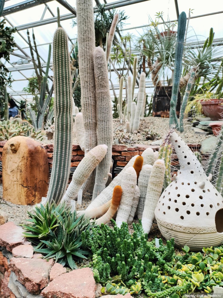 Милана в ботаническом саду