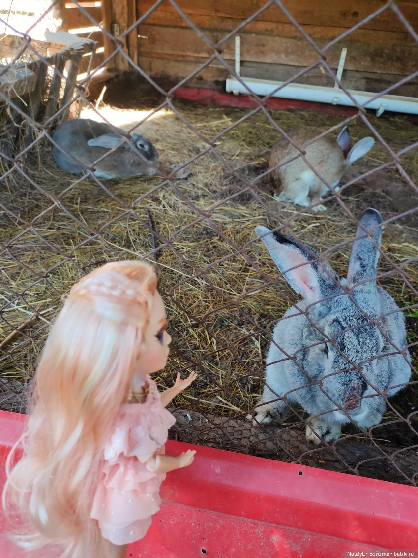 Милена на базе отдыха | Бэйбики Милена на базе отдыха — Куклы Rainbow High (Рейнбоу Хай