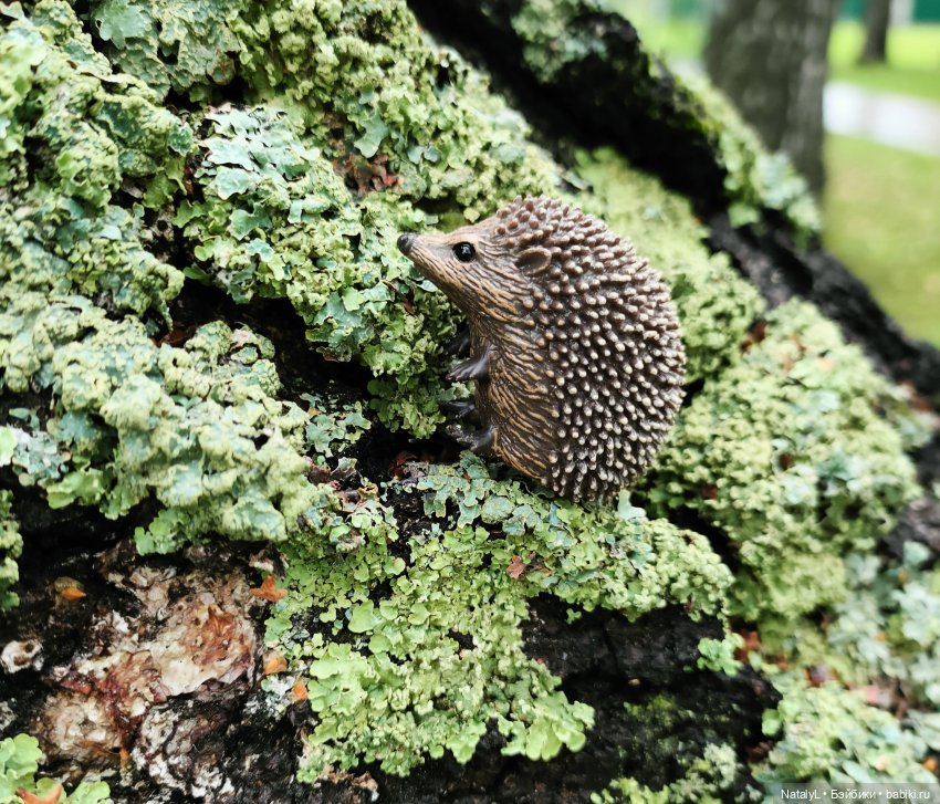 Повседневная жизнь ёжика Фуфика (фото 2)