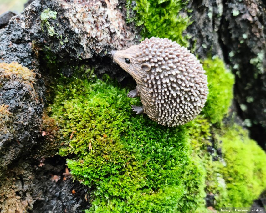 Повседневная жизнь ёжика Фуфика