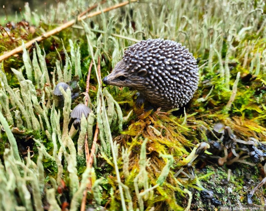 Повседневная жизнь ёжика Фуфика (фото 6)