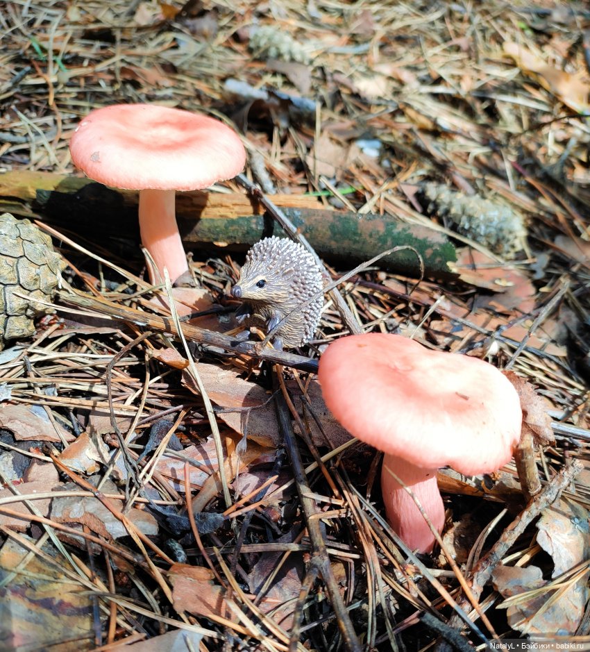 Повседневная жизнь ёжика Фуфика