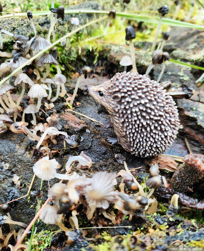 Повседневная жизнь ёжика Фуфика (фото 7)