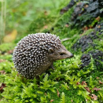 Повседневная жизнь ёжика Фуфика