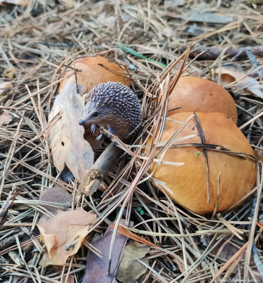 День ёжика — Авторские игрушки из разных материалов: синельная проволока