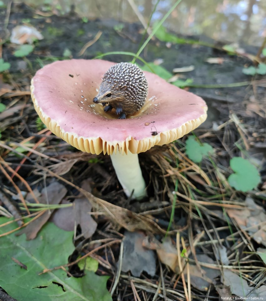 День ёжика — Авторские игрушки из разных материалов: синельная проволока (фото 9)