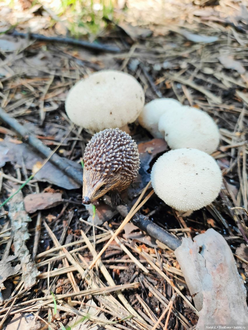 День ёжика — Авторские игрушки из разных материалов: синельная проволока (фото 5)