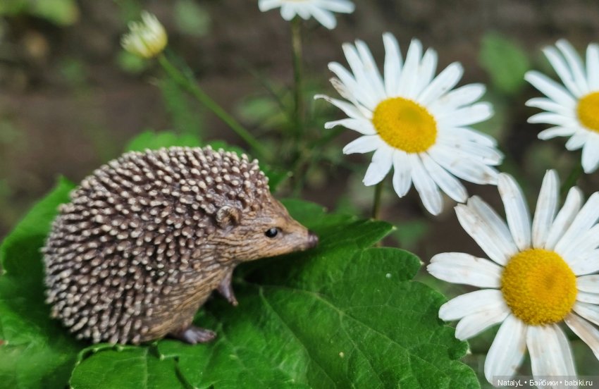 День ёжика — Авторские игрушки из разных материалов: синельная проволока
