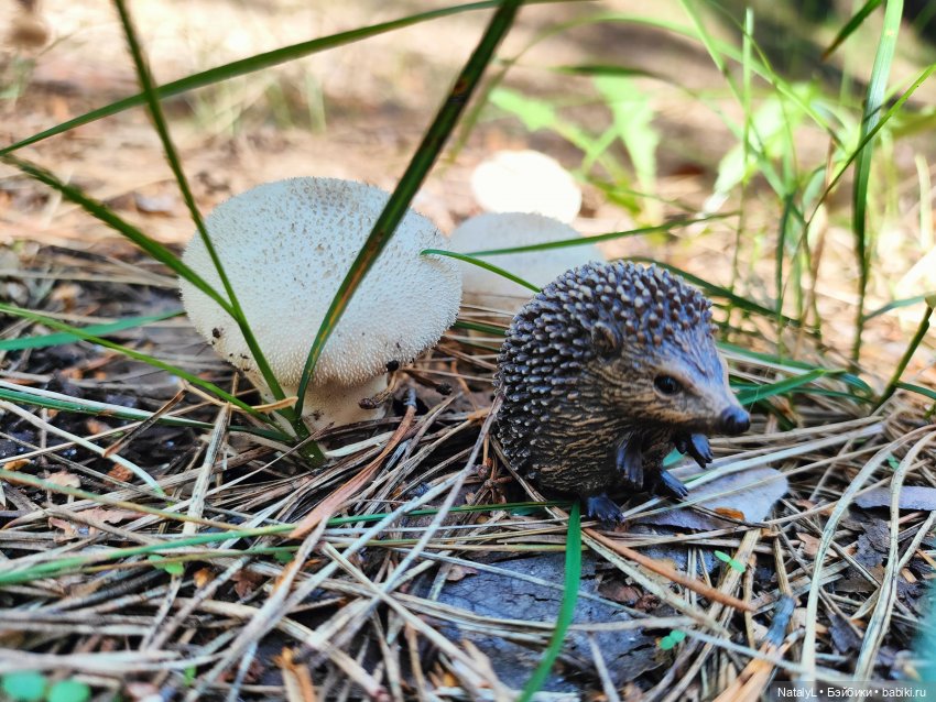 День ёжика — Авторские игрушки из разных материалов: синельная проволока (фото 4)