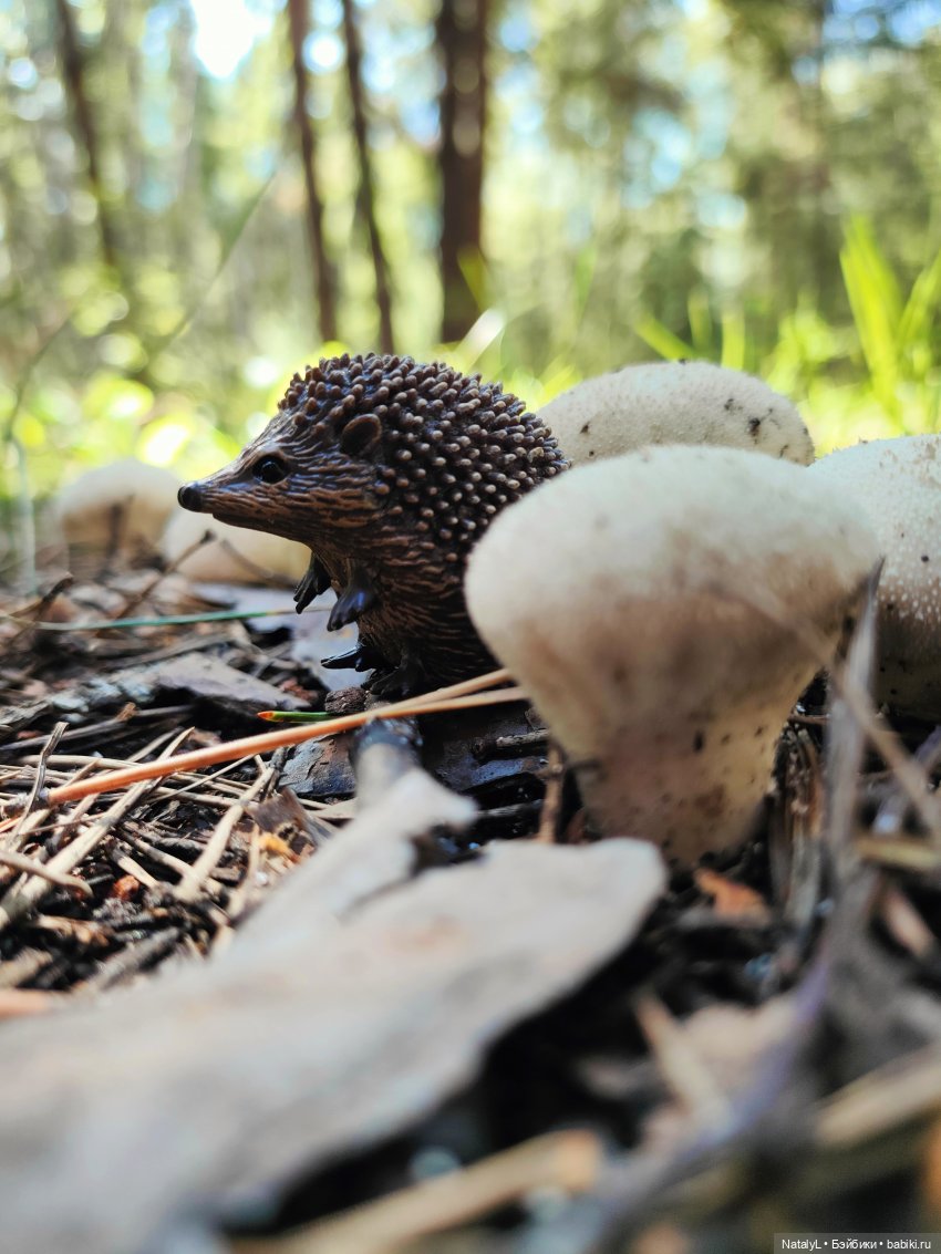 День ёжика — Авторские игрушки из разных материалов: синельная проволока (фото 6)