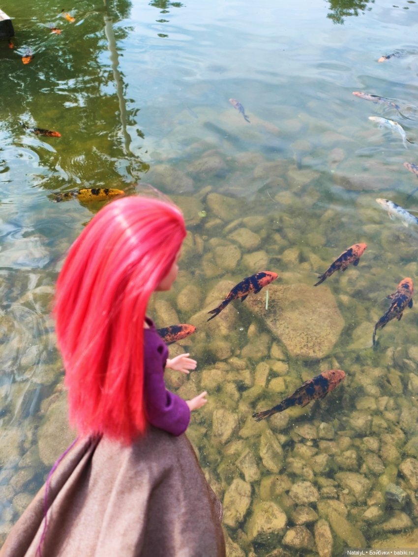 Мидхилл. Редда в естественной среде обитания