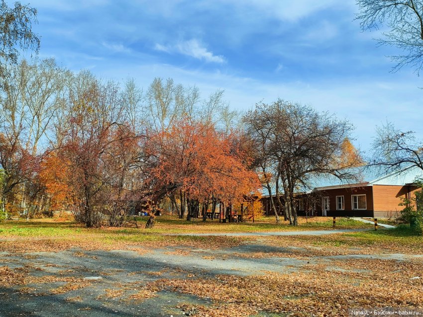 Осенняя прогулка на природе