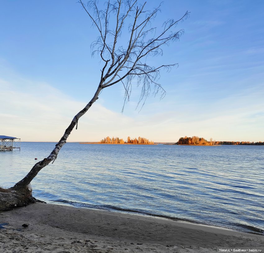 Осенняя прогулка на природе