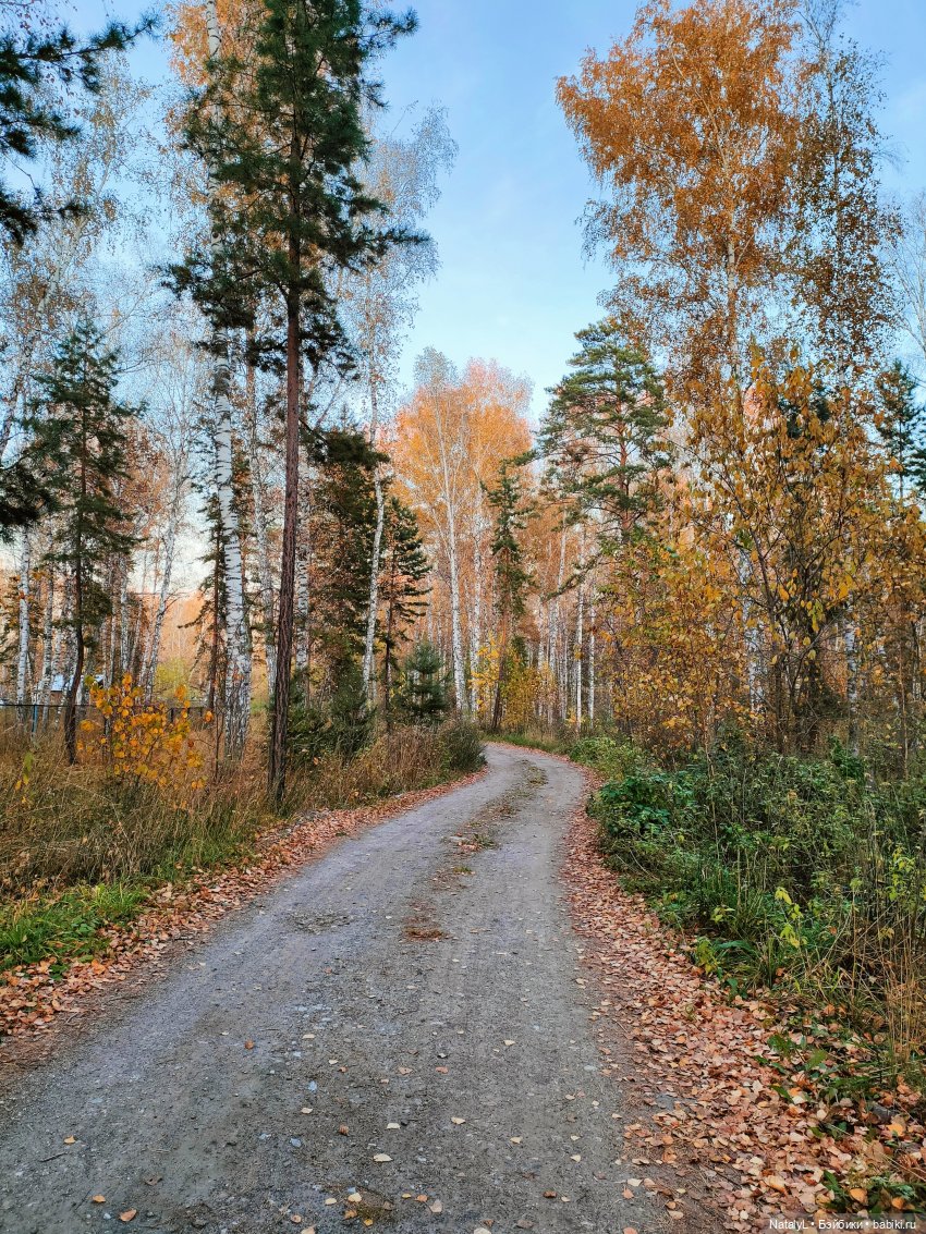 Осенняя прогулка на природе