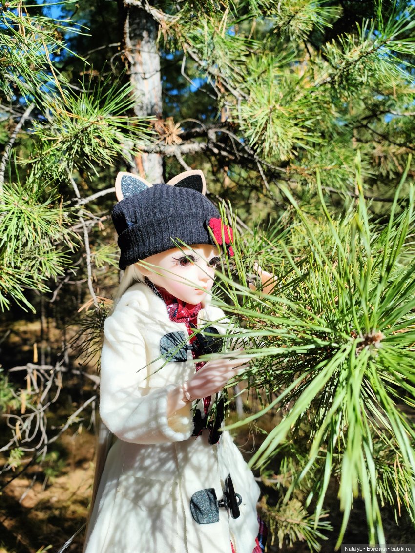 Осенняя прогулка на природе