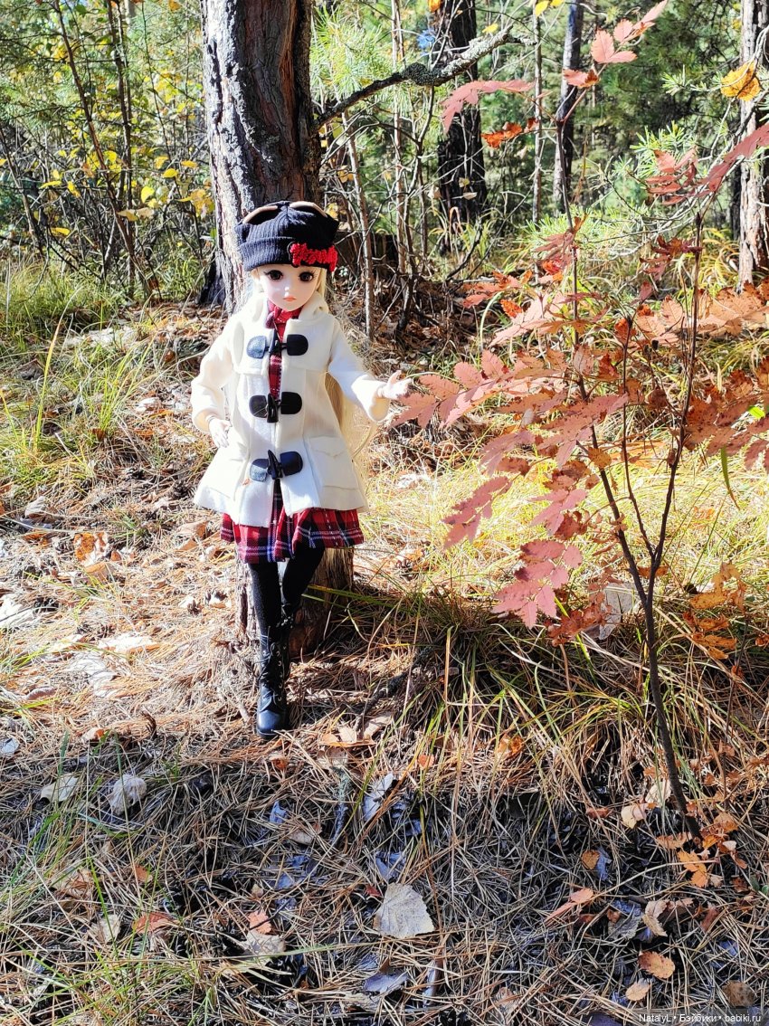 Осенняя прогулка на природе