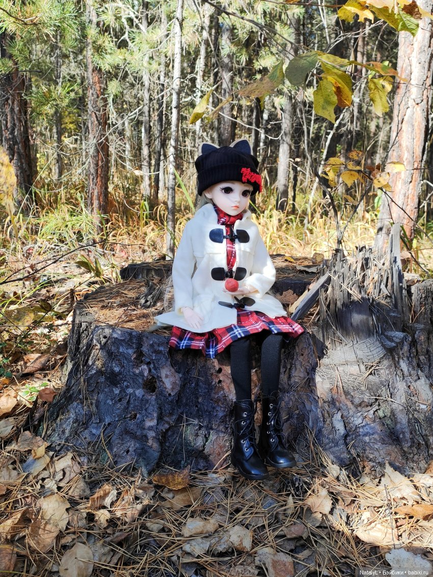 Осенняя прогулка на природе