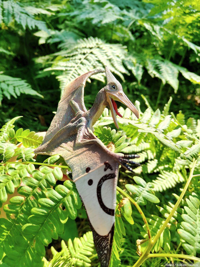 Миллион лет до палеонтологии (фото 10)