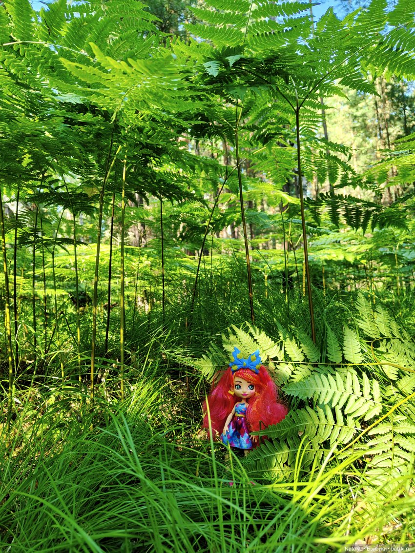 Миллион лет до палеонтологии (фото 6)