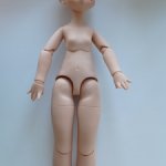 Продам тельце для переделки